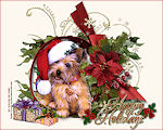 thumbnail of your picture 52