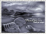 thumbnail of your picture 13