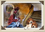 thumbnail of your picture 16
