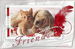thumbnail of your picture 20