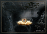 thumbnail of your picture 4
