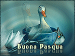thumbnail of your picture 49