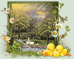 thumbnail of your picture 63