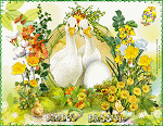 thumbnail of your picture 71